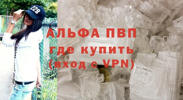 стаф Нефтекумск