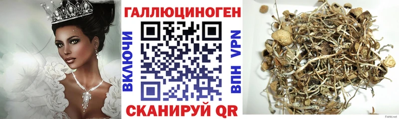 маркетплейс официальный сайт  Удомля  Галлюциногенные грибы GOLDEN TEACHER 